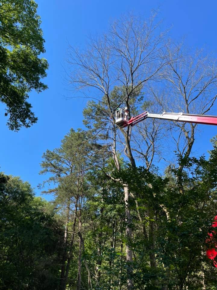 Questions and Answers