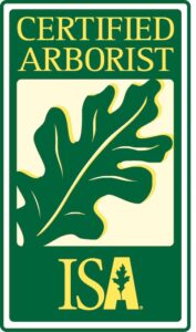 certified arborist