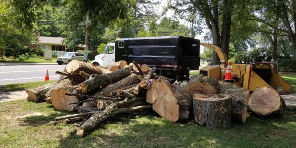 after a tree service we leave the site clean
