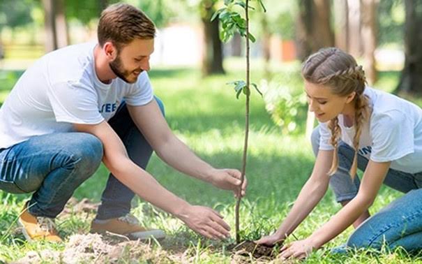 A-Guide-to-Tree-Planting
