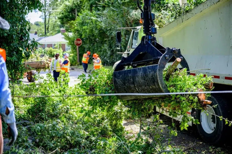 Deconstructing the Quote: What Influence Tree Removal Cost in Charlotte? One of the first questions property owners in Charlotte ask when facing a problematic tree is, “How much is this going to cost?” It’s a valid and important question, but the answer is rarely a simple, flat-rate number. The cost of professional tree removal is a detailed calculation based on safety, complexity, and the specific resources required for the job. Understanding these factors can help you appreciate what goes into a professional quote and why choosing the cheapest option can be a costly mistake. At Queen City Tree Service, we believe in transparency. Our goal is to provide Charlotte residents with not just a price, but a clear understanding of the value and safety behind our work. This guide breaks down the key factors that influence the tree removal cost in Charlotte NC. For a precise, no-obligation quote tailored to your specific situation, contact our expert team for a free estimate at (704) 606-9696.