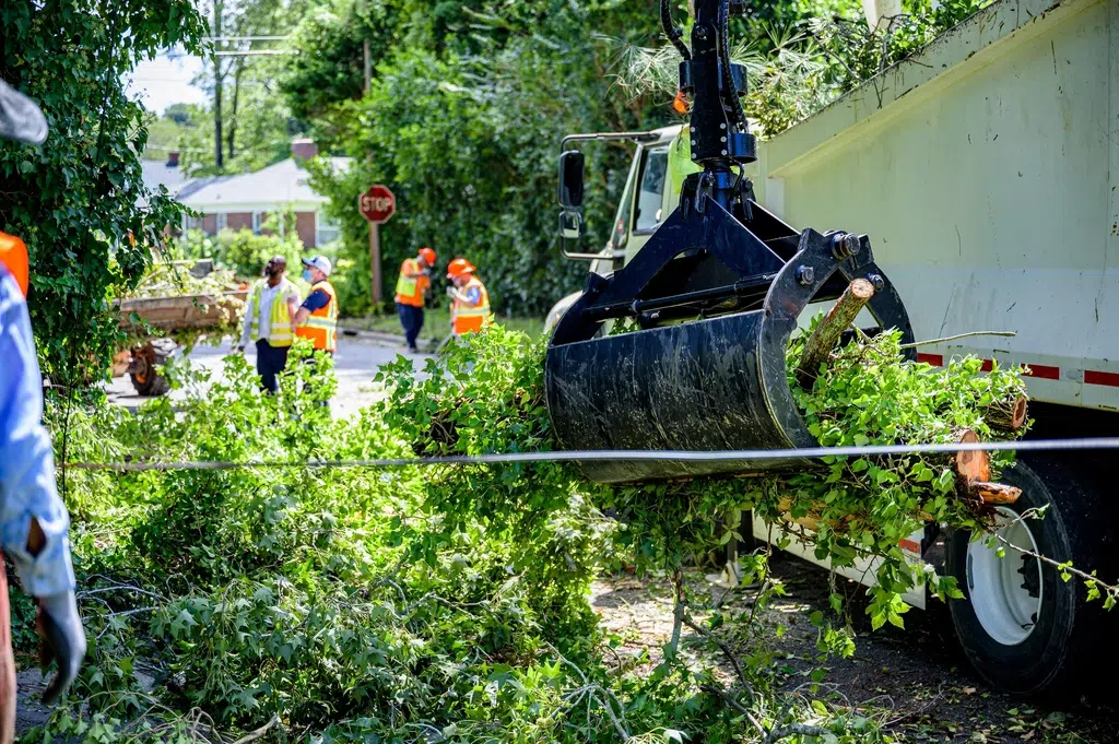 Deconstructing the Quote: What Influence Tree Removal Cost in Charlotte? One of the first questions property owners in Charlotte ask when facing a problematic tree is, “How much is this going to cost?” It’s a valid and important question, but the answer is rarely a simple, flat-rate number. The cost of professional tree removal is a detailed calculation based on safety, complexity, and the specific resources required for the job. Understanding these factors can help you appreciate what goes into a professional quote and why choosing the cheapest option can be a costly mistake. At Queen City Tree Service, we believe in transparency. Our goal is to provide Charlotte residents with not just a price, but a clear understanding of the value and safety behind our work. This guide breaks down the key factors that influence the tree removal cost in Charlotte NC. For a precise, no-obligation quote tailored to your specific situation, contact our expert team for a free estimate at (704) 606-9696.
