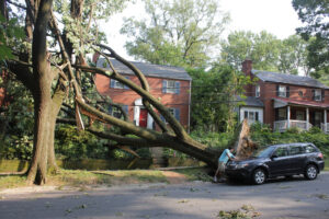 Emergency Tree Removal: The Definitive Guide to Managing Crisis When Disaster Strikes In the Piedmont region of North Carolina, the weather can turn violent with little warning. From the sudden, intense downdrafts of a summer thunderstorm to the crushing weight of a January ice storm or the tropical remnants of a hurricane, Charlotte homeowners are no strangers to the destructive power of nature. When the howling wind stops and you hear the terrifying crash of a tree impacting your home, the situation shifts from a storm event to a structural crisis. In that moment, panic is a natural response. However, the actions you take in the first hour following a tree emergency can significantly impact the safety of your family, the preservation of your property, and the success of your insurance claim. At Queen City Tree Service, we understand that we aren't just removing a log; we are helping you reclaim your sense of safety. This comprehensive guide is written by certified arborists to walk you through exactly what happens during a tree emergency, why professional intervention is non-negotiable, and how to navigate the aftermath.
