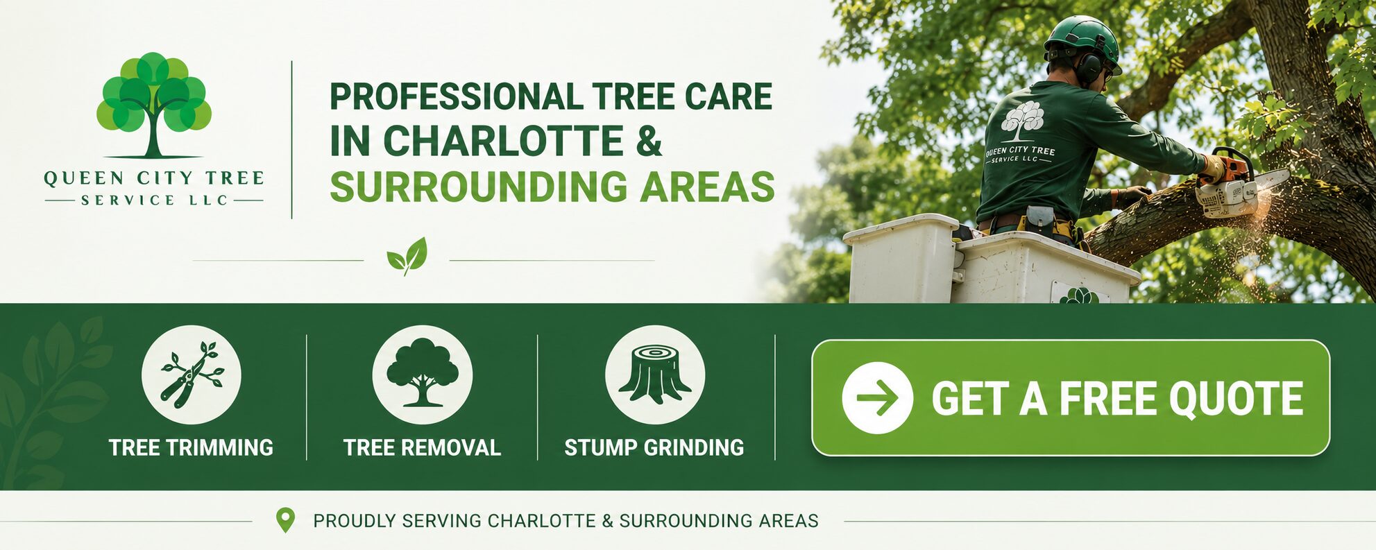 Queen City Tree Services in Charlotte and surrounding areas. Tree trimming, pruning, stump grinding, tree removal.